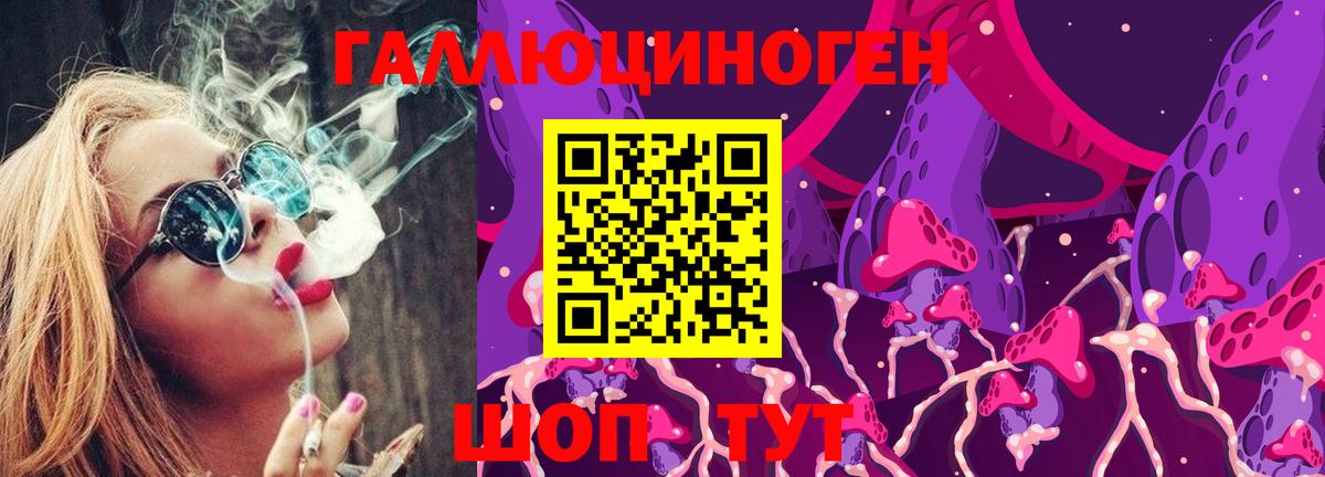 Псилоцибиновые грибы Psilocybe Щёлково